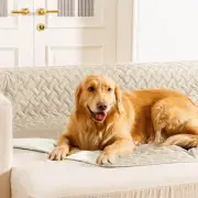 100% Double Sided Waterproof Dog Blanket Soft Bed Pet Cover Reversible Protect F