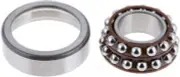 Differential Pinion Bearing Kit-FSGR DANA Spicer 2014578-2