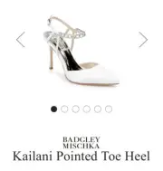 Badgley Mischka Bridal Shoes- Never Worn!!