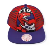 Mitchell & Ness Toronto Raptors Big Face Callout HWC Adjustable Snapback Hat