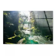 Misty Dark Dense River Print 100% Australian Made 90 x 60cm (Acrylic)