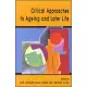 Critical Approaches to Aging and Later Life