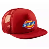 在飛比找蝦皮購物優惠-迪凱思 Dickies Snapback 網發行帽