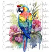 Sublimation Transfer Print Watercolor Parrot Ready to Press Heat Transfer