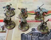 Lord of the rings games workshop Rides of Rohan 6 pro painted