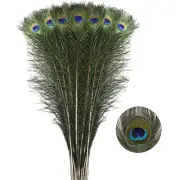 Long Peacock Feathers Bulk - 40pcs 28-32 inches for Floral Arrangements, Wedd...
