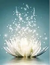 BetterJonny Diamond Painting Kits for Adults, 5D DIY Lotus Flower Diamond Painting Number Kits Full Diamond Painting Perfect for Home Wall Decor(30 * 40cm)