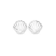 Silver Polished Clam Shell Studs