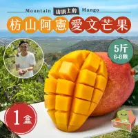 在飛比找momo購物網優惠-【初品果】枋山阿憲愛文芒果禮盒5斤x1盒(大果_6-8顆_山