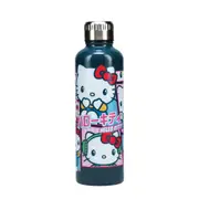 Hello Kitty Stylish Cute Design Durable Insulated Metal Drinking Water Bottle
