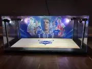 LaMelo Ball Custom 2-card PSA & BGS display case with LED lights - Hornets