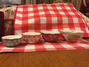 4 MEASURING CUPS NESTING BOWL THE PIONEER WOMAN POINSETTIA HOLIDAY STONEWARE New