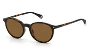 POLAROID-PLD 6137/CS-86-5218-SUNGLASSES