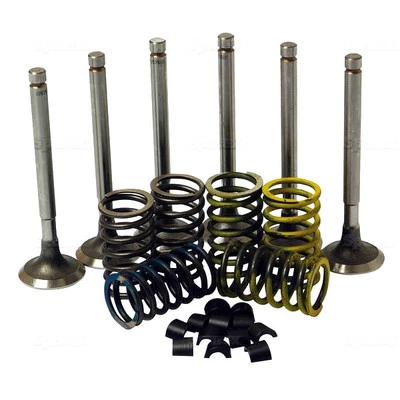 VALVE TRAIN KIT FOR DAVID BROWN 780 880 885 1190 1194 TRACTORS.