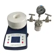 100ML Laboratory Equipment High Pressure Reactor Magnetic Hydrogenation