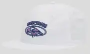 Quiksilver Mens Nasafrass Snapback Cap Hat