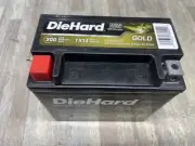 DieHard TX14 AGM 200 CCA 12 Amp Hour Capacity Powersports BatterY 03/23
