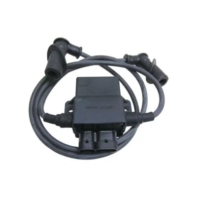 Polaris Sportsman 600 (2003-04) CDI Ignition Coil and Spark Plug Cap - 4010785