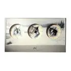 Agnew Wolf Weather Center - Thermometer - Barometer - Clock - NIB