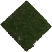 Toddmomy Artificial Grass Door Mat Realistic Green Turf Rug for Outdoor Patio Lawn Decoration Entryway Scraper Doormat Versatile Fake Grass for Dog Mat Camper Decor