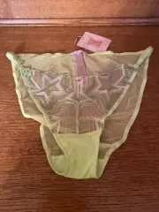Savage X Fenty Sunchaser Lace Cheeky, Sunchaser Lace, NEW 1X