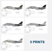 Warhead Illustrated Jolly Rogers F-14 Tomcat Set 1 Aircraft Print Bundle