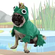 Zack & Zoey Prince of Frogs XS Frog Dog Halloween Costume Puppy Pet EXTRA SMALL