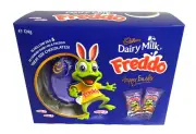 Cadbury Freddo Egg Gift Box (124g) - B/B June 24