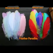Goose Pallet Feathers Packed Loose Feathers Macaroon 20 PCS or 50pcs