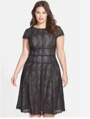 Adrianna Papell Converging' Banded Lace Black/Tan Dress Size-16W