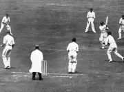 Englands Hedley Verity fields at short mid-wicket as teammate Bil- Old Photo