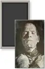 Universal Movie Monster 1932 The Mummy Boris Karloff 2 x 3 Fridge Magnet