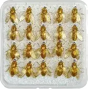 MLqkpwy Fly Fishing Bait - 20X Bee Simulated Fly Fishing Lures - Angling Tackle Gear with Storage Case for Freshwater Saltwater Deep Sea Lake River Pond