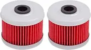 Motorcycle Oil Filters Cleaner For XL125V CBF250 TRX300X VT125C TRX400EX TRX300EX TRX500TM TRX350TM TRX350TE TRX350FM(2 PCS)