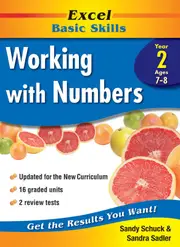 Excel Basic Skills: Working with Numbers Year 2