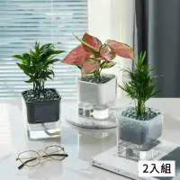 在飛比找momo購物網優惠-【KStore】室內自動吸水透明水培花盆栽2入(盆栽 室內盆