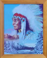 Indian partial embroidered picture