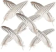 TOPPERFUN 10pcs Natural Pheasant for Crafting Dream Catchers Home Decor and Floral Arrangements Unique Plumes for Creative Projects