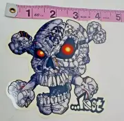 Rare Vintage Lost Skull CrossBones Glowing Eyes Vinyl Surf Sticker Decal