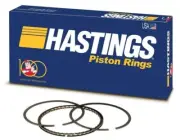 Hastings 2m5649 Piston Ring set for 1982-87 3.8 Ford Thunderbird .040 USA MOLY (for: Ford)