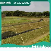 在飛比找樂天市場購物網優惠-溫室小花棚小型大棚骨架菜地遮陽網分隔花架棚架防鳥拉線多肉暖棚