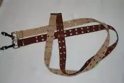 WOMENS Mens Belt LOT 1.5" Wide SILVER EYELETS Grommets BROWN BEIGE Canvas XXL