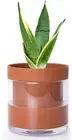 6 Inch Self Watering Planter Pot, Terracotta Clay Pot with Glass Reservoir for I
