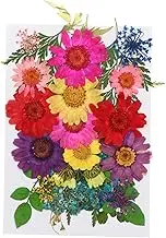 DIY Dried Flower Embossing Kit 16 Real Flower Patches for Scrapbooking Art Dec