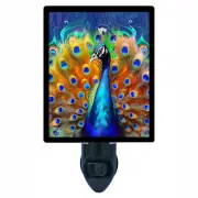 Decorative Photo Night Light, Colorful Peacock