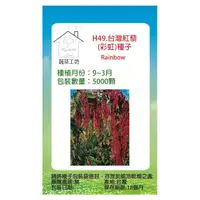 在飛比找momo購物網優惠-【蔬菜工坊】H49.台灣紅藜種子.未脫殼(彩虹)