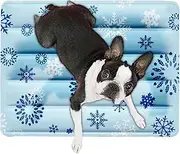 Cooling Pad for Dog,Sleep Cooling Mat for Dogs | Scratch Resistant Reusable Floor Cushion Hot Weather Use for Small Medium Large Breeds Outdoor Resting