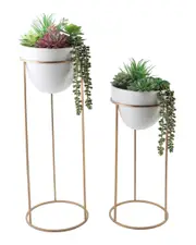 Flora Bunda 36in & 29in Succulent Mix in Ceramic Pots with Gold Metal Stands