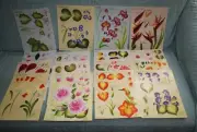 One Stroke Flowers Painting Teaching Guides Set of 32 Designs Donna Dewberry NEW