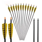 Pure Carbon Arrow with Natural Turkey Feather 32 Inch ID 6.2mm Adjustable Nock
